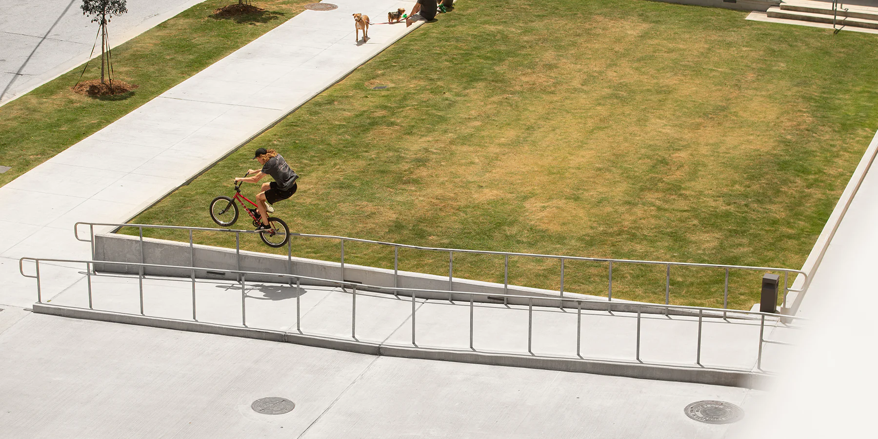 Ride Without Limits