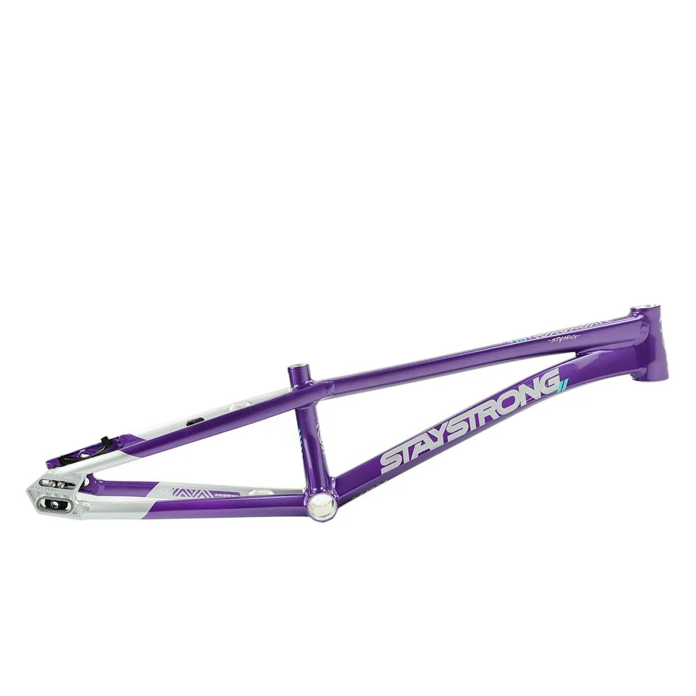 Stay Strong For Life V5.1 Pro Frame - Image 10