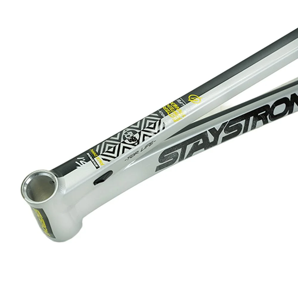 Stay Strong For Life V5.1 Pro Frame - Image 25