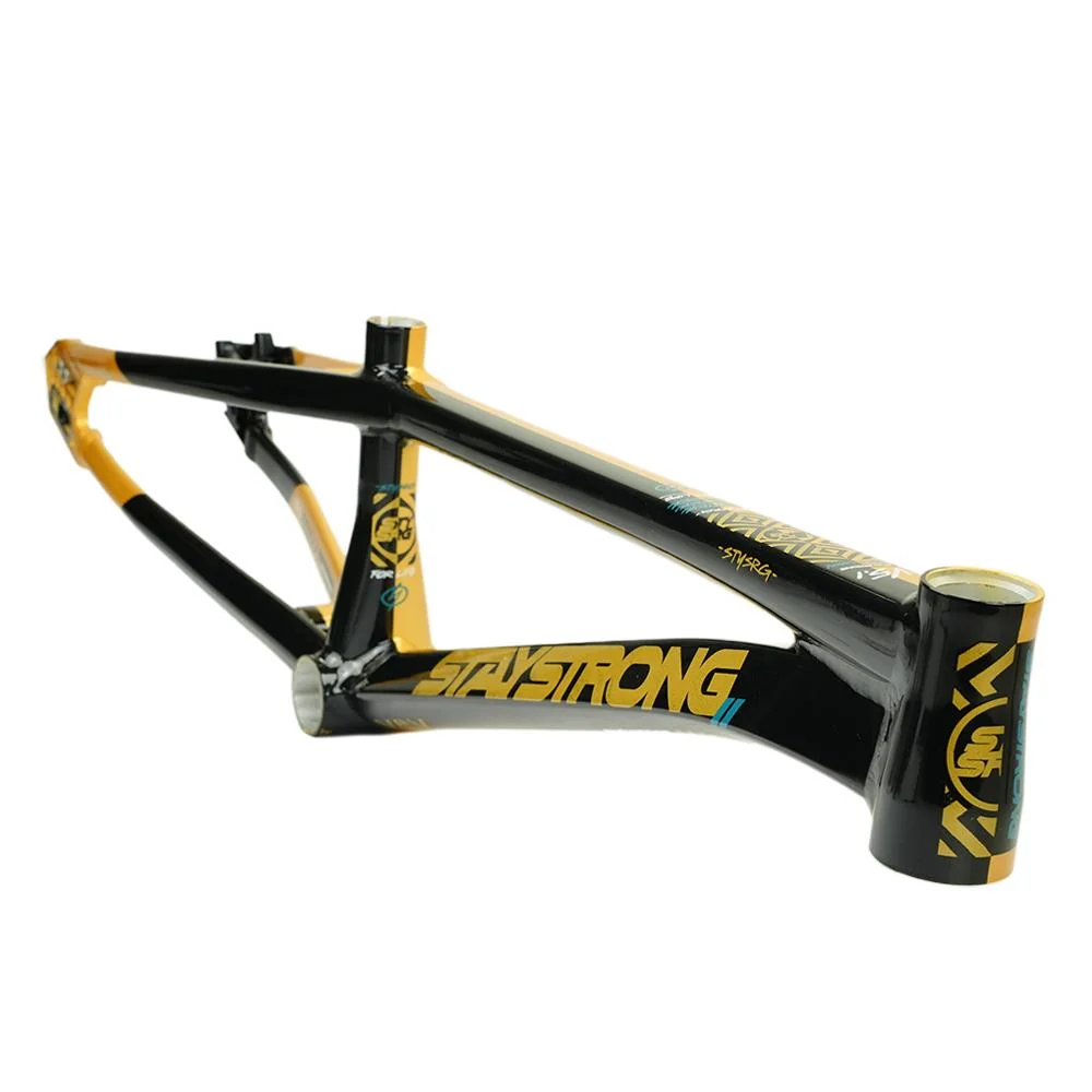 Stay Strong For Life V5.1 Pro Frame - Image 28