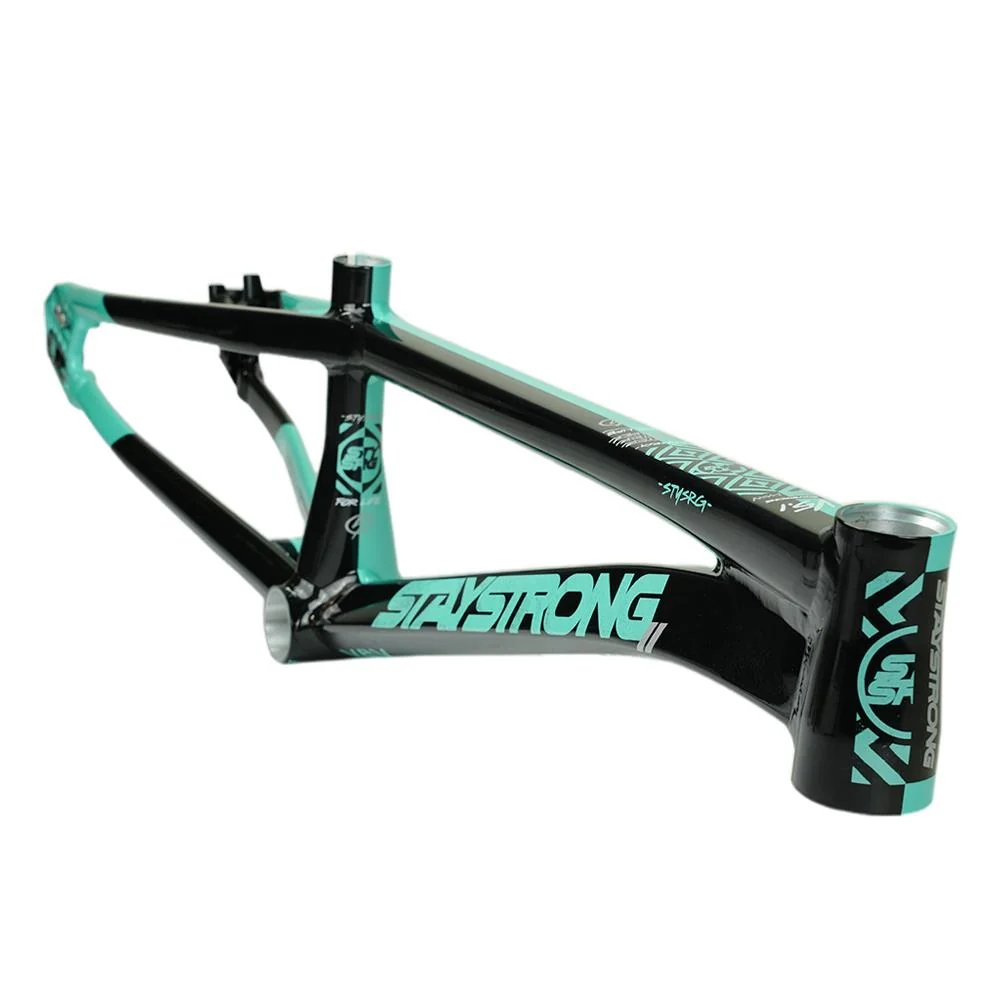 Stay Strong For Life V5.1 Pro Frame - Image 3