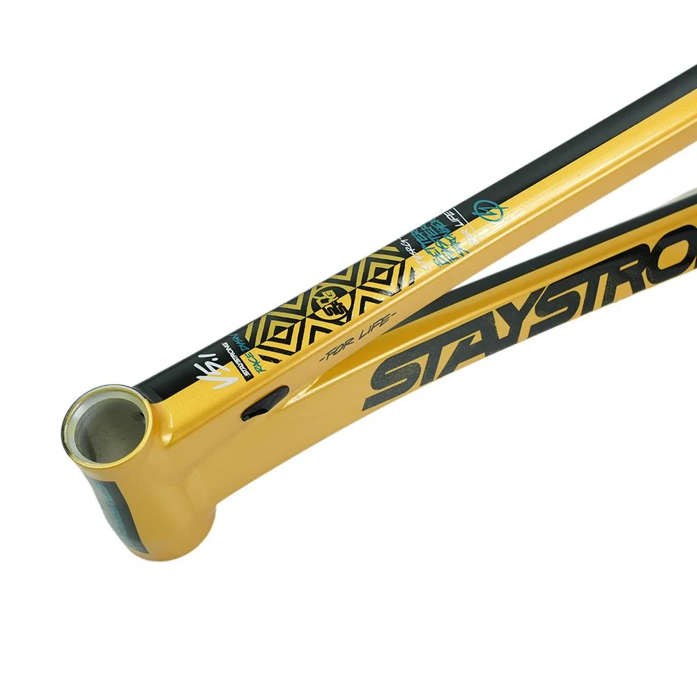 Stay Strong For Life V5.1 Pro Frame - Image 34