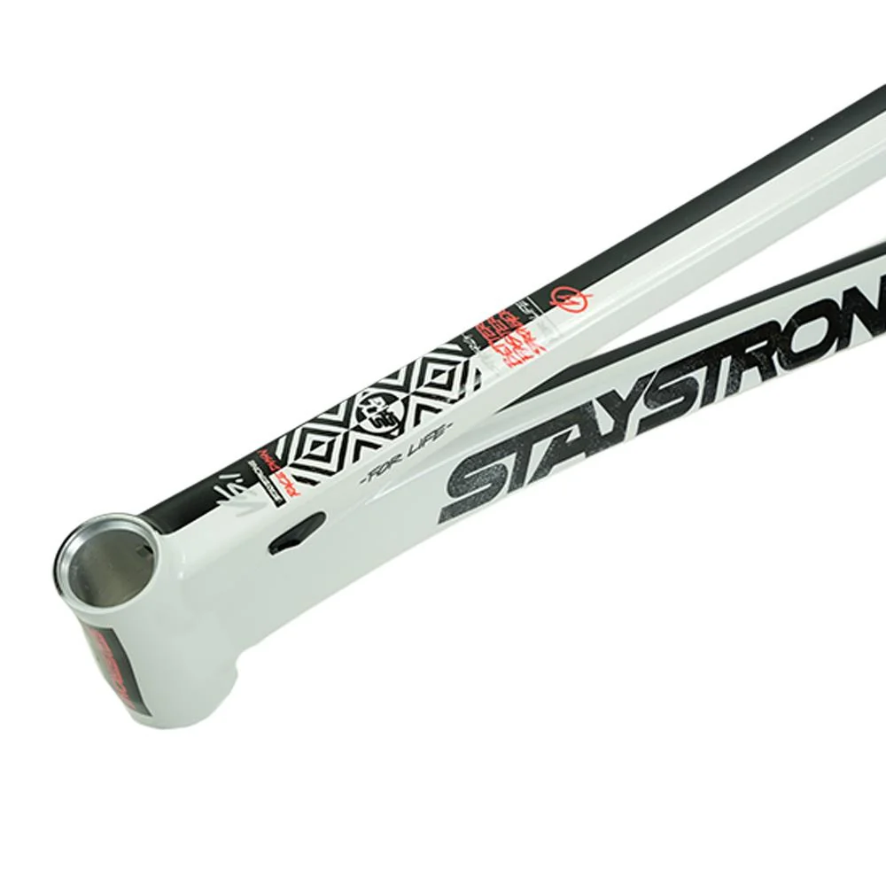 Stay Strong For Life V5.1 Pro Frame - Image 42