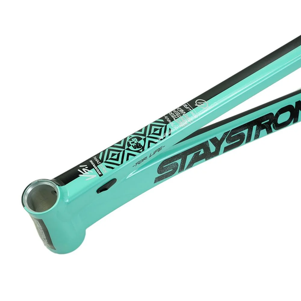 Stay Strong For Life V5.1 Pro Frame - Image 9