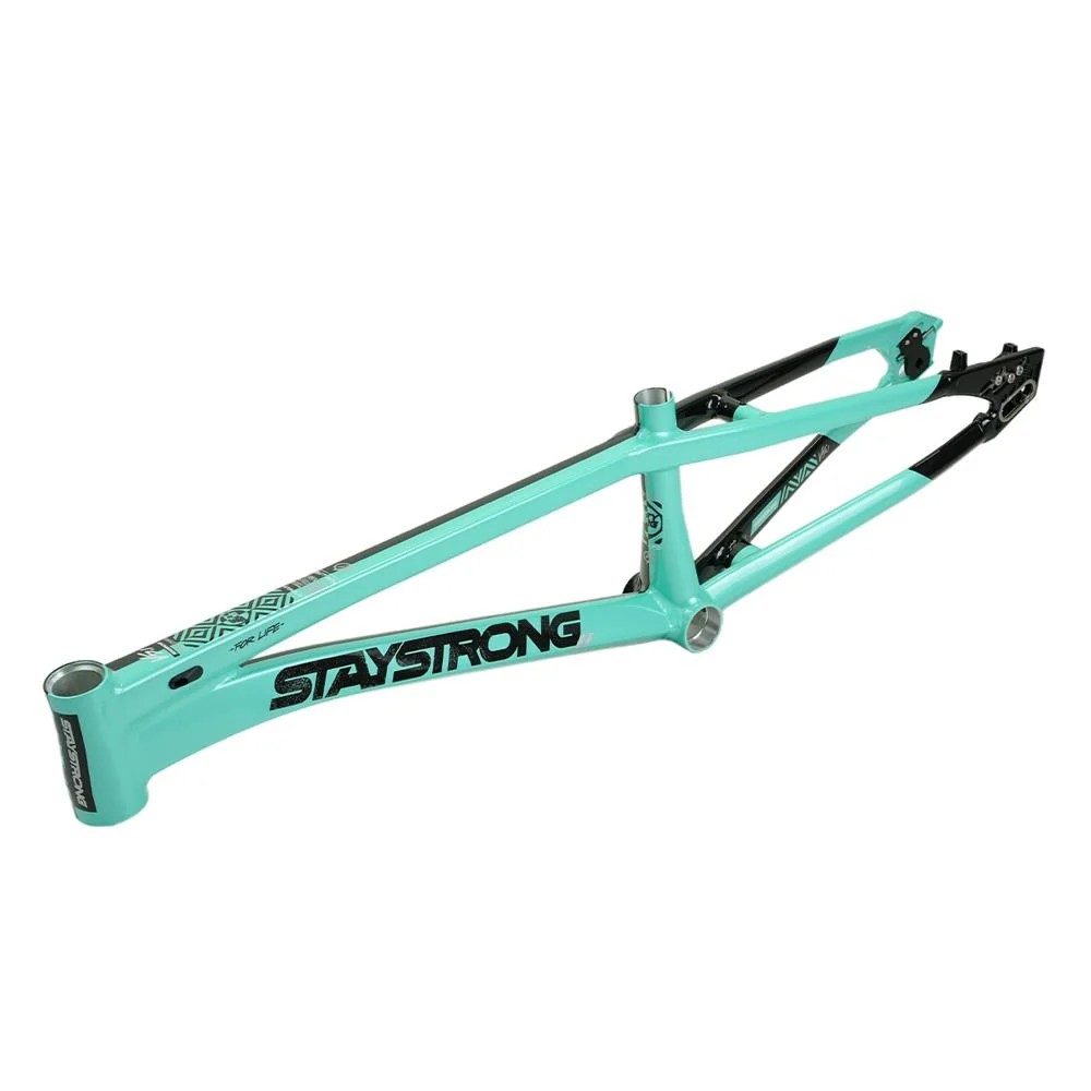 Stay Strong For Life V5.1 Pro XXL Frame - Image 24