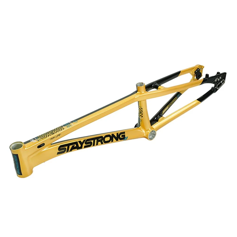 Stay Strong For Life V5.1 Pro XXXL Frame - Image 15