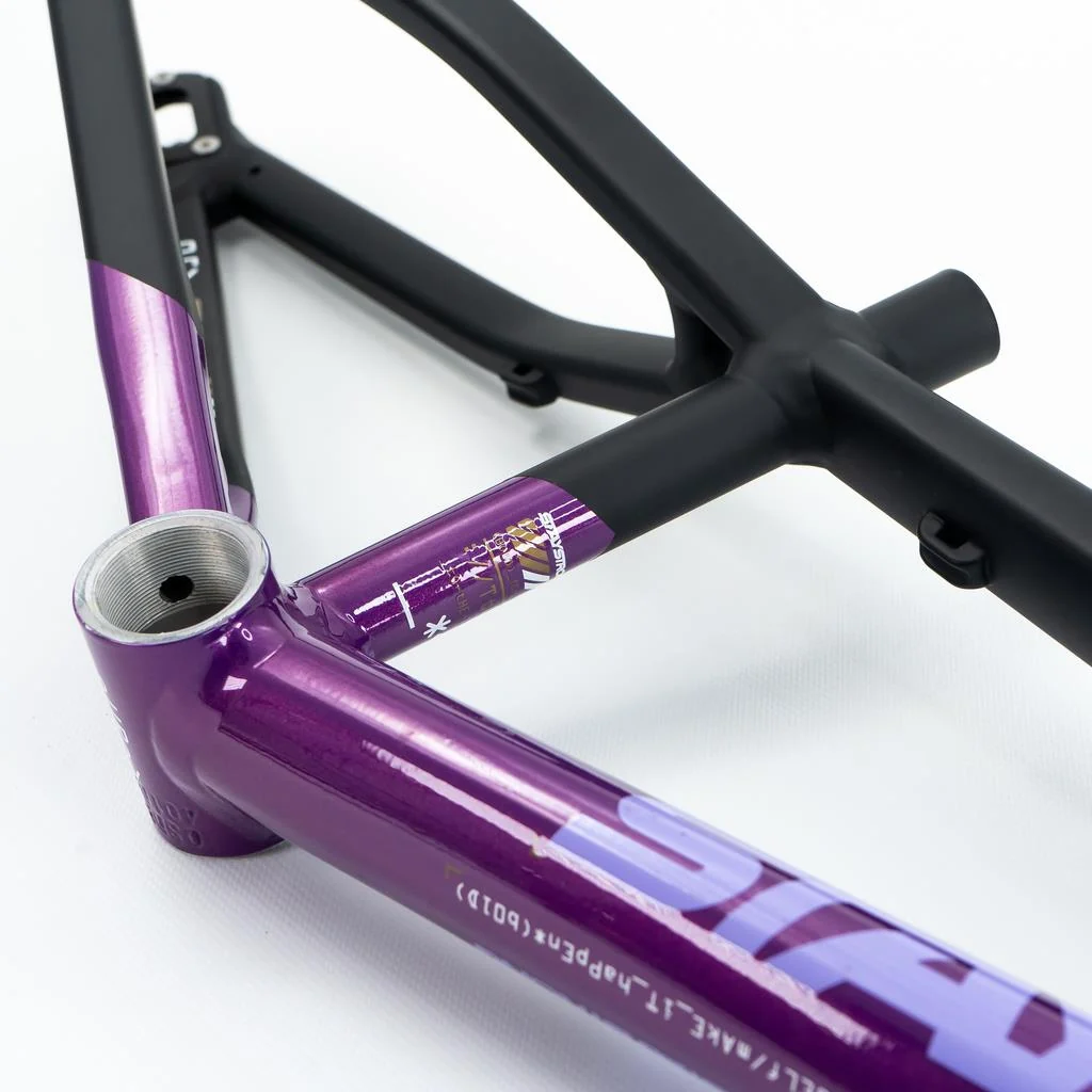 Stay Strong For Life V5 Expert Frame 2025 - Image 10
