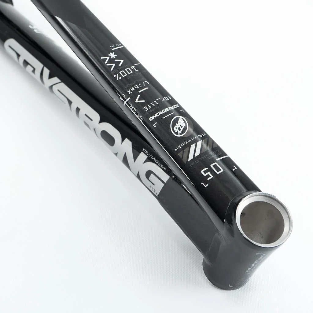 Stay Strong For Life V5 Mini Frame 2025 - Image 7