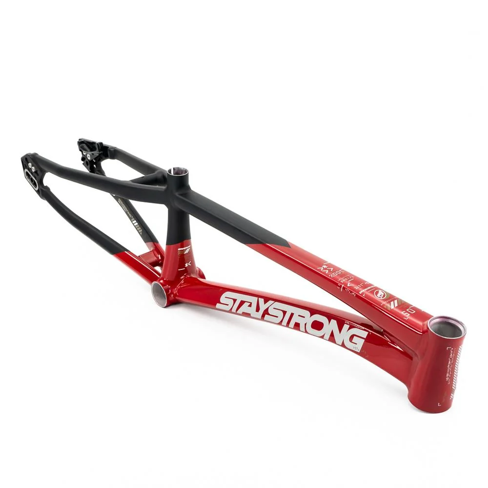 Stay Strong For Life V5 Pro Frame 2025 - Image 13