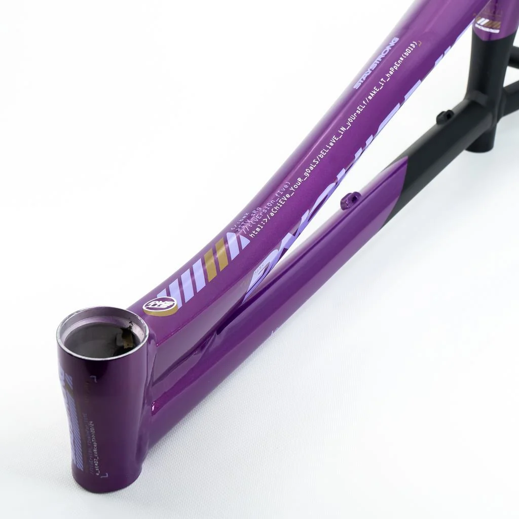 Stay Strong For Life V5 Pro XXXXL Frame 2025 - Image 8