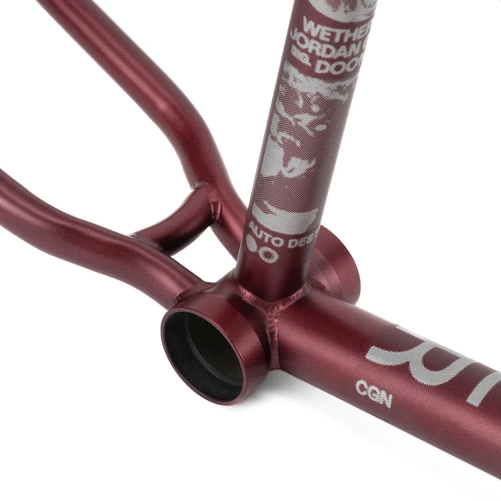 Wethepeople Doomsayer 'Jordan Godwin' Signature Frame - Image 11