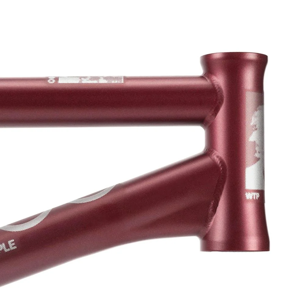 Wethepeople Doomsayer 'Jordan Godwin' Signature Frame - Image 13