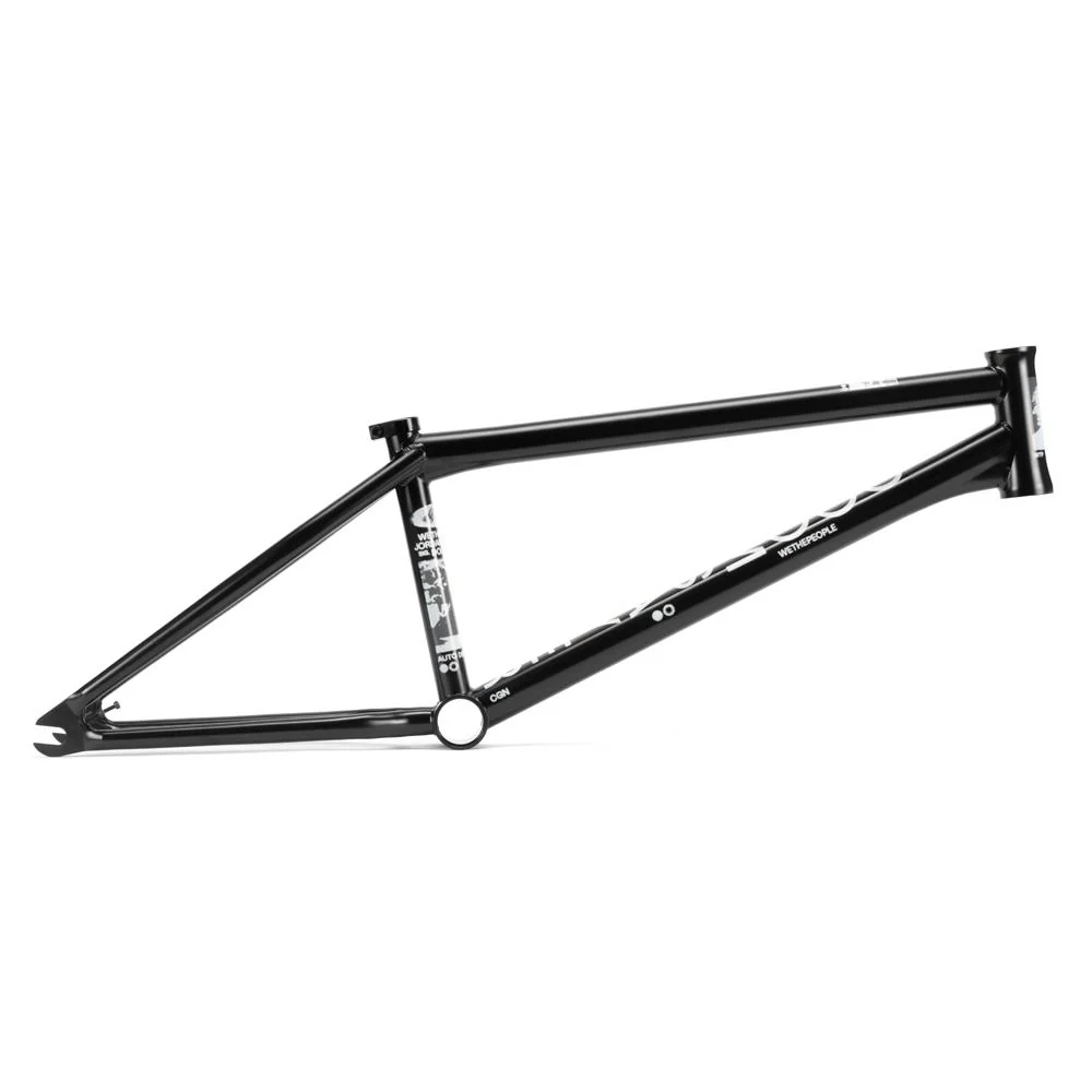 Wethepeople Doomsayer 'Jordan Godwin' Signature Frame - Image 8